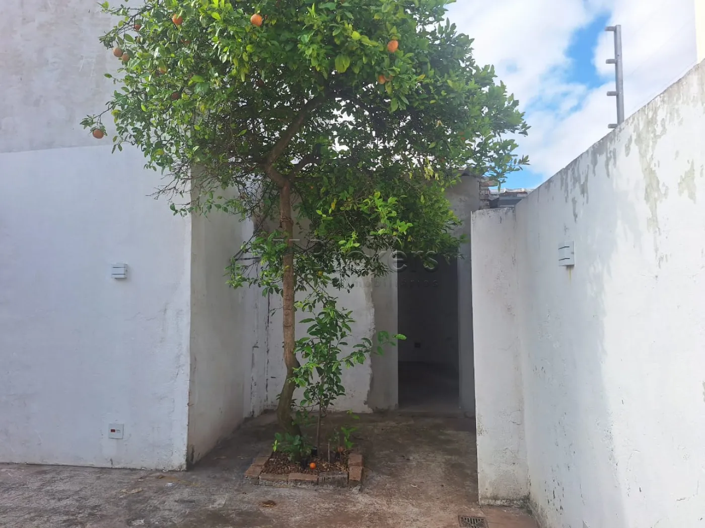 Alugar Salas/Conjuntos / Sala em Botucatu R$ 3.200,00 - Foto 4