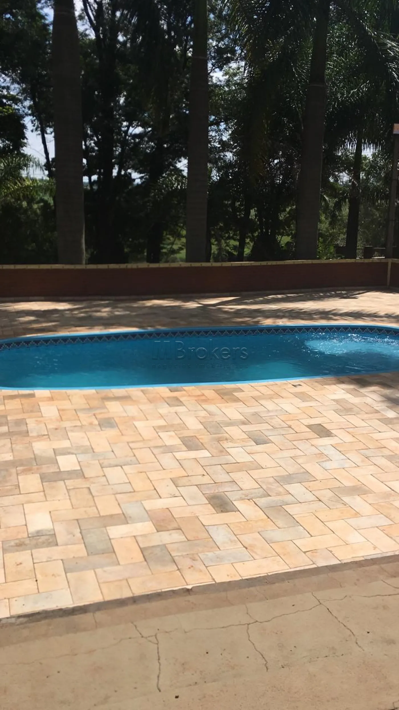 Comprar Rural / Chácara / Fazenda em São Manuel R$ 1.400.000,00 - Foto 7