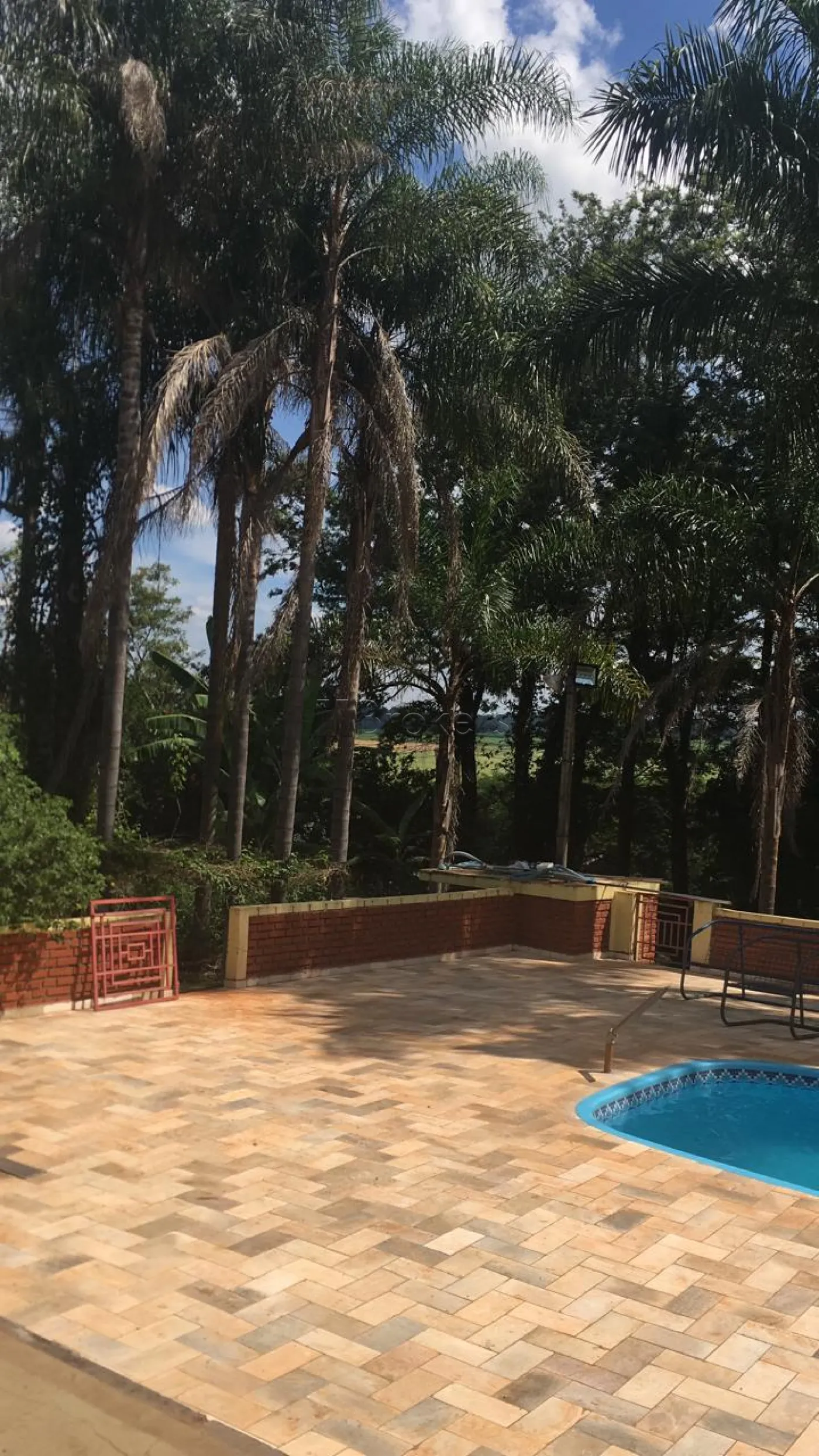 Comprar Rural / Chácara / Fazenda em São Manuel R$ 1.400.000,00 - Foto 8