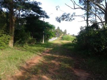 imagem 4 - Rural - Chácara / Fazenda imagem 4 - Rural - Chácara / Fazenda