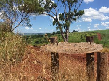 Sao Manuel Rodovia Rural Venda R$1.500.000,00 