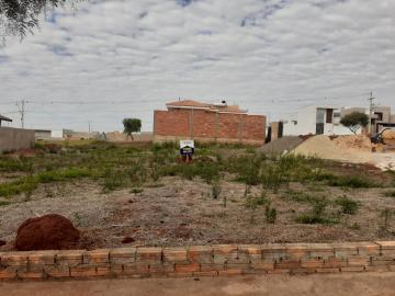 Alugar Terreno / Padrão em Sao Manuel. apenas R$ 95.000,00