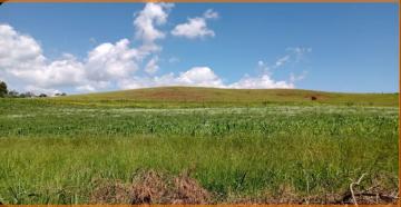 imagem 4 - Rural - Chácara / Fazenda imagem 4 - Rural - Chácara / Fazenda