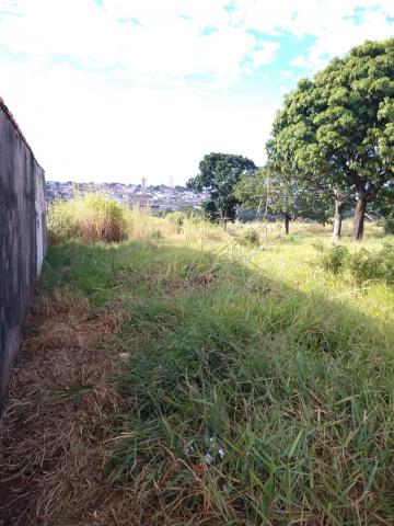 imagem 2 - Terreno - Padrão imagem 2 - Terreno - Padrão