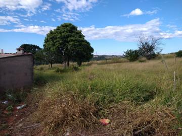 imagem 4 - Terreno - Padrão imagem 4 - Terreno - Padrão
