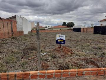 imagem 1 - Terreno - Padrão imagem 1 - Terreno - Padrão