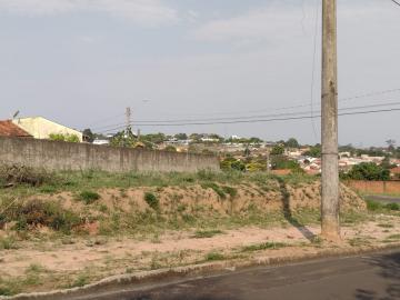 imagem 1 - Terreno - Padrão imagem 1 - Terreno - Padrão