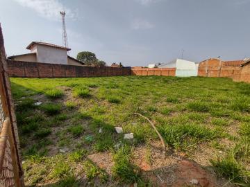 imagem 1 - Terreno - Padrão imagem 1 - Terreno - Padrão