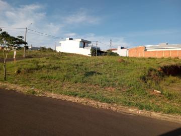 imagem 1 - Terreno - Padrão imagem 1 - Terreno - Padrão