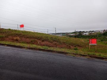 imagem 3 - Terreno - Padrão imagem 3 - Terreno - Padrão