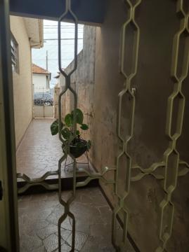 imagem 4 - Venda de Casa com 03 Quartos em um terreno bem amplo. imagem 4 - Venda de Casa com 03 Quartos em um terreno bem amplo.