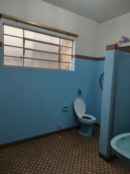 imagem 5 - Venda de Casa com 03 Quartos em um terreno bem amplo. imagem 5 - Venda de Casa com 03 Quartos em um terreno bem amplo.