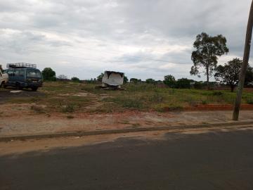 imagem 2 - Terreno - Padrão imagem 2 - Terreno - Padrão