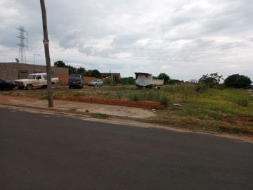 imagem 4 - Terreno - Padrão imagem 4 - Terreno - Padrão