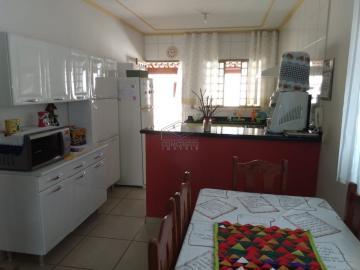 Alugar Casa / Padrão em Botucatu. apenas R$ 360.000,00