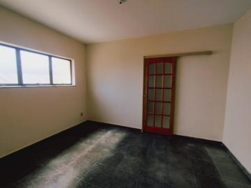imagem 4 - Casa - Padrão imagem 4 - Casa - Padrão