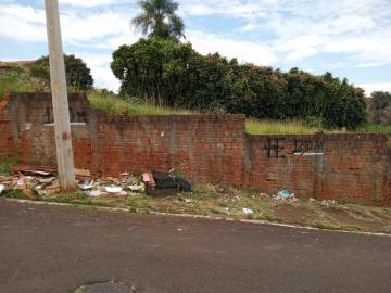 imagem 3 - Terreno - Padrão imagem 3 - Terreno - Padrão