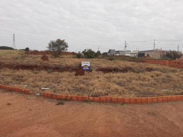 imagem 1 - Terreno - Padrão imagem 1 - Terreno - Padrão