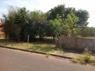 imagem 3 - Terreno - Padrão imagem 3 - Terreno - Padrão