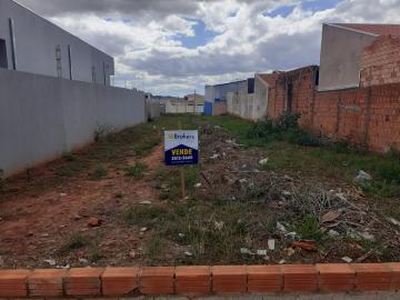 imagem 1 - Terreno - Padrão imagem 1 - Terreno - Padrão