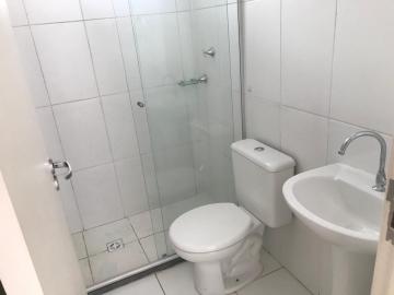 Alugar Apartamento / Padrão em Botucatu. apenas R$ 800,00