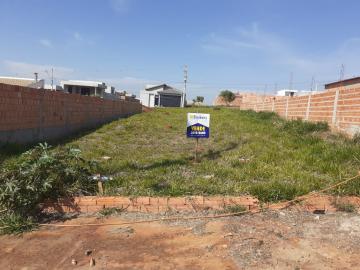 Alugar Terreno / Padrão em São Manuel. apenas R$ 90.000,00