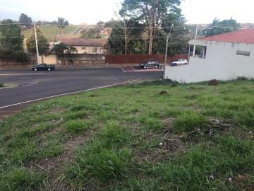 imagem 2 - OPORTUNIDADE imagem 2 - OPORTUNIDADE
