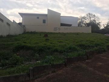 imagem 1 - OPORTUNIDADE imagem 1 - OPORTUNIDADE
