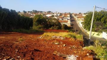 imagem 1 - OPORTUNIDADE imagem 1 - OPORTUNIDADE