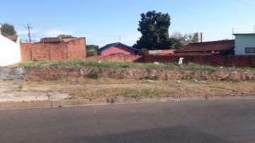 imagem 1 - Terreno - Padrão imagem 1 - Terreno - Padrão