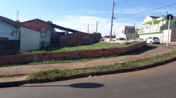 imagem 1 - Terreno - Padrão imagem 1 - Terreno - Padrão