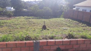 imagem 1 - Terreno - Padrão imagem 1 - Terreno - Padrão