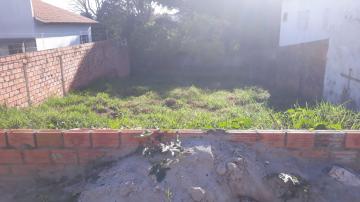 imagem 1 - Terreno - Padrão imagem 1 - Terreno - Padrão
