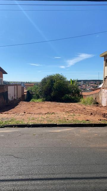 Terreno / Padrão em Botucatu/SP 