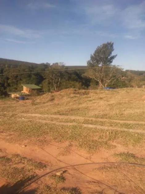 imagem 4 - ÓTIMO TERRENO COM 1250 M² EM UMA RUA TRANQUILA QUE VAI ATÉ UM RIACHO E UMA ÁREA VERDE PRESERVADA. imagem 4 - ÓTIMO TERRENO COM 1250 M² EM UMA RUA TRANQUILA QUE VAI ATÉ UM RIACHO E UMA ÁREA VERDE PRESERVADA.