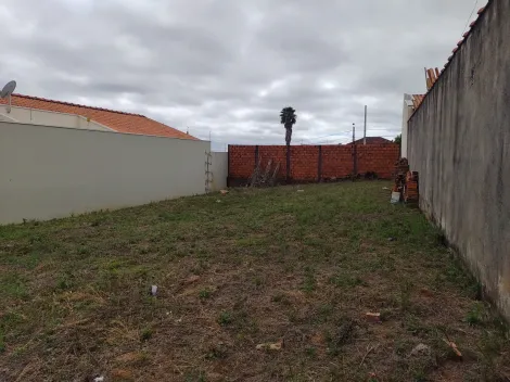 imagem 1 - OPORTUNIDADE Terreno plano, todo murado! imagem 1 - OPORTUNIDADE Terreno plano, todo murado!