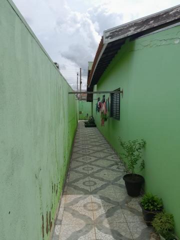 alt=