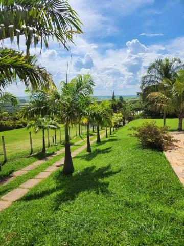 imagem 2 - LINDA CHÁCARA EM UM LUGAR TRANQUILO imagem 2 - LINDA CHÁCARA EM UM LUGAR TRANQUILO