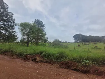 Alugar Terreno / Padrão em Botucatu. apenas R$ 290.000,00