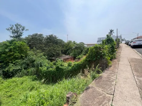 imagem 1 - Terreno - Padrão imagem 1 - Terreno - Padrão