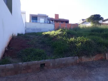 imagem 4 - VENDO LOTE DE 250M² NO JARDIM ITÁLIA NA CIDADE DE BOTUCATU-SP imagem 4 - VENDO LOTE DE 250M² NO JARDIM ITÁLIA NA CIDADE DE BOTUCATU-SP