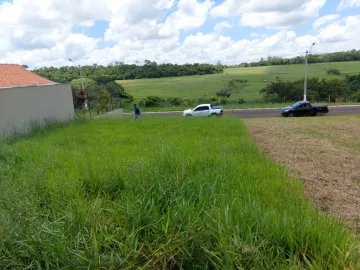 imagem 1 - OPORTUNIDADE imagem 1 - OPORTUNIDADE