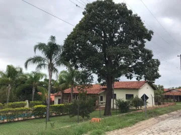 alt=