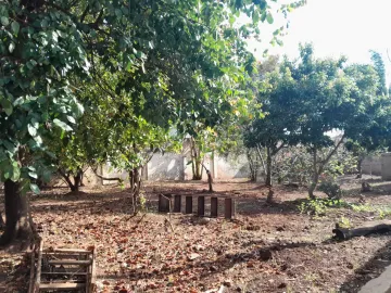 imagem 3 - Terreno - Área imagem 3 - Terreno - Área