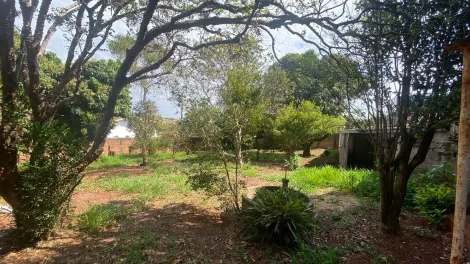 imagem 5 - Excelente Terreno no Centro, pronto para construir! imagem 5 - Excelente Terreno no Centro, pronto para construir!