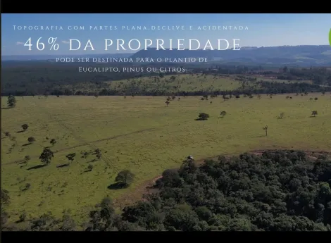 imagem 2 - Fazenda com ótima localização imagem 2 - Fazenda com ótima localização