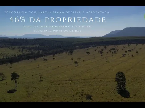 imagem 3 - Fazenda com ótima localização imagem 3 - Fazenda com ótima localização