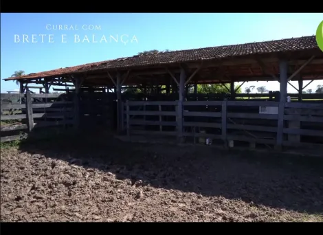 imagem 5 - Fazenda com ótima localização imagem 5 - Fazenda com ótima localização