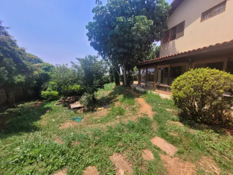 Linda casa com pomar