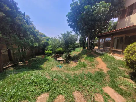 Linda casa com pomar